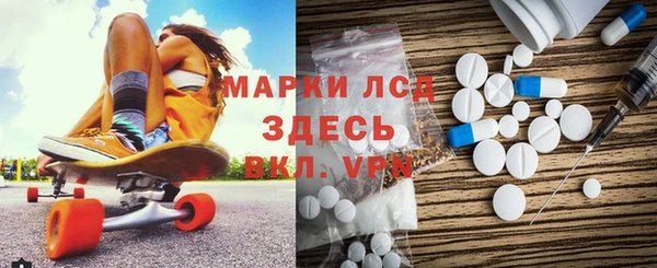 ГАЛЛЮЦИНОГЕННЫЕ ГРИБЫ Аркадак