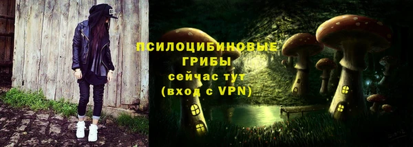 бошки Алексеевка