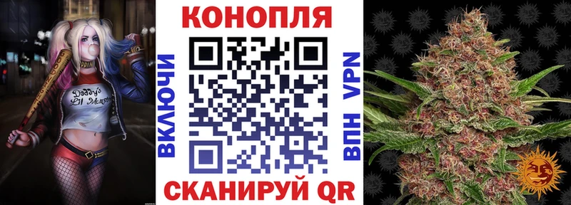Конопля конопля  Нея 